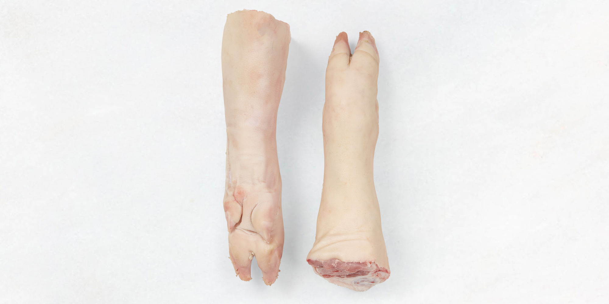 Hinterpfoten