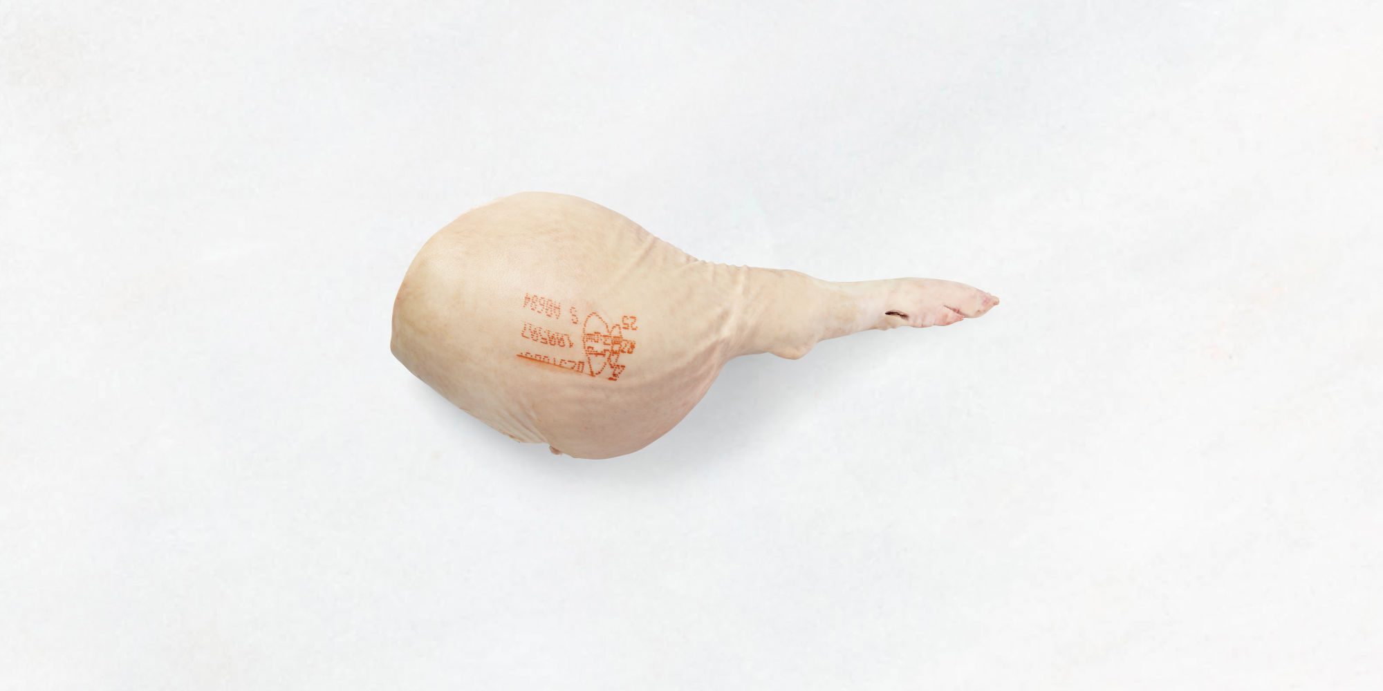 Schinken mit Pfote