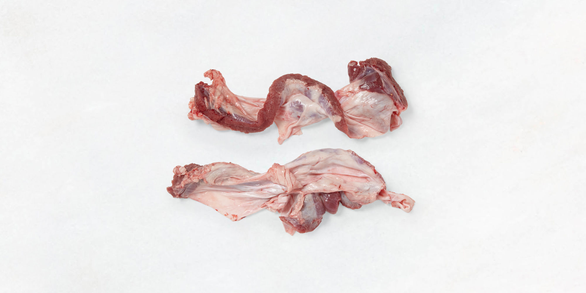 Saumfleisch